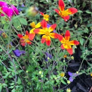 Meet your Posher, Sandy